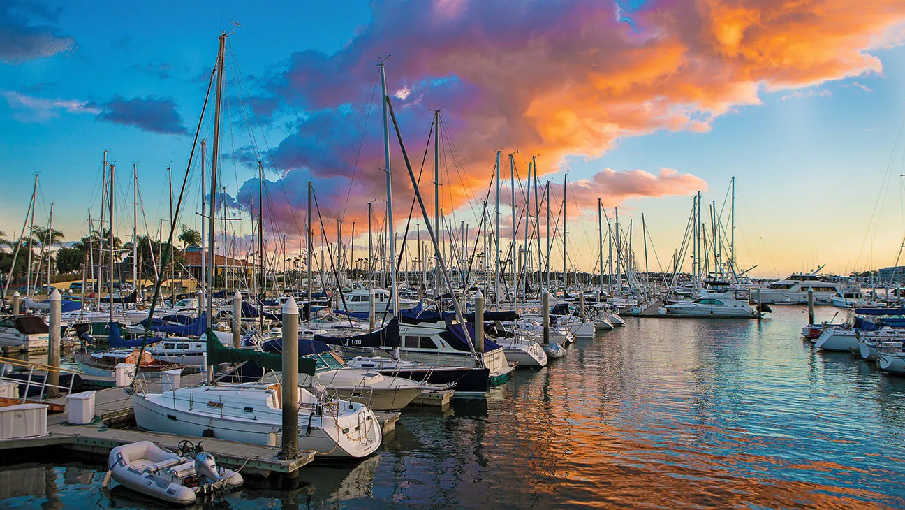 Marina Del Rey - DRIP AND DIP Marina Del Rey - DRIP AND DIP